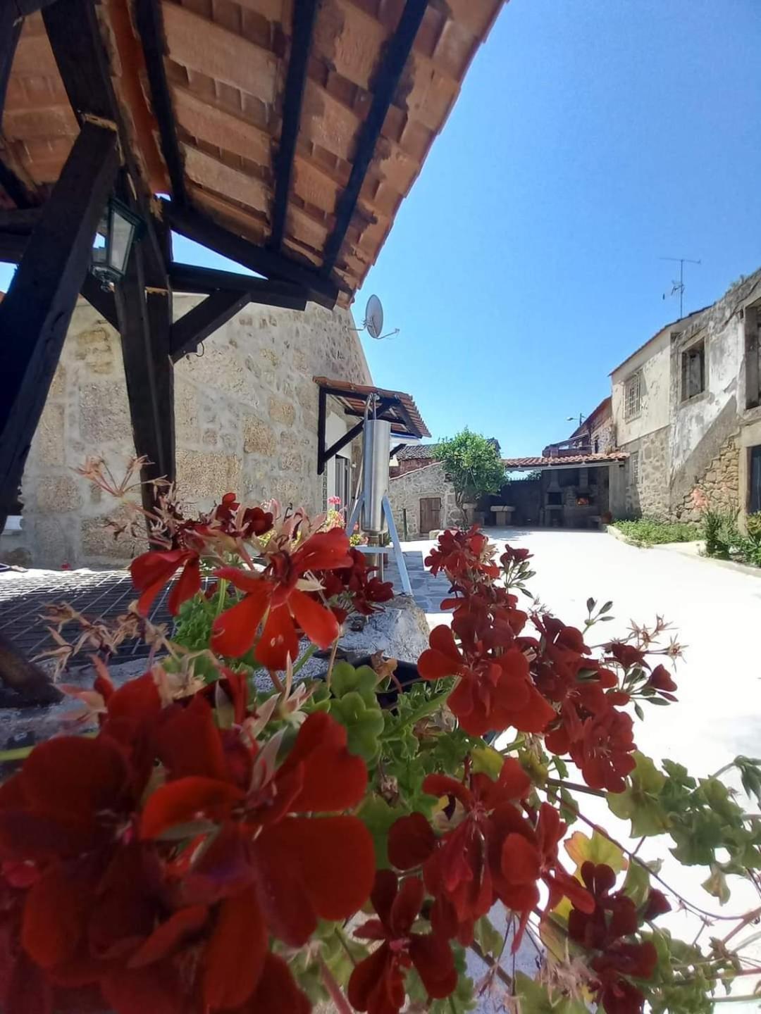 Quinta Do Cruzeiro Villa Mata  Exteriör bild